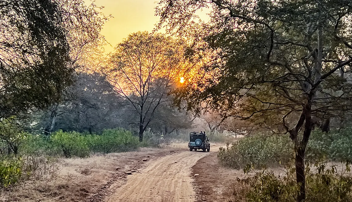 Golden Triangle with