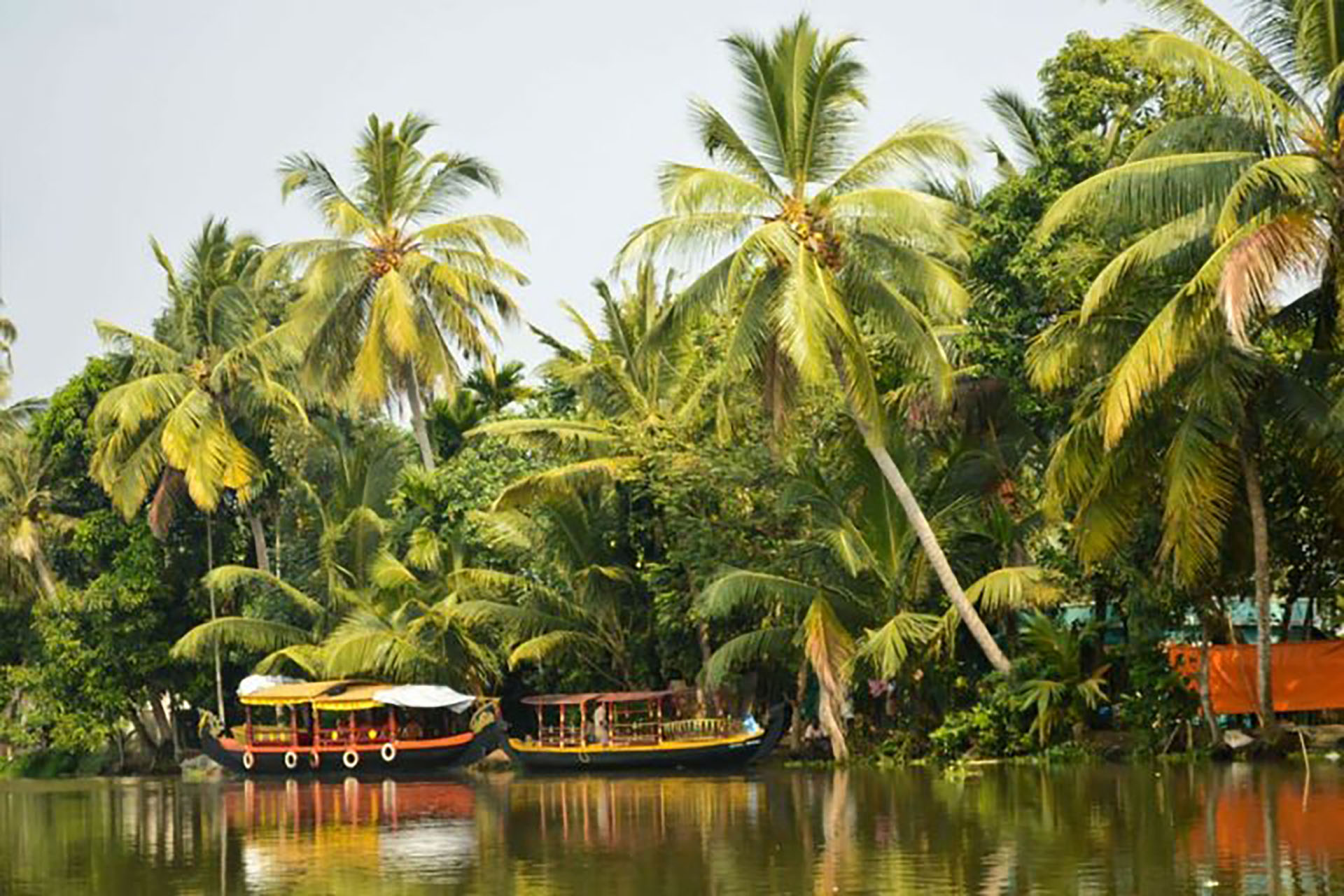 Enchanting Kerala