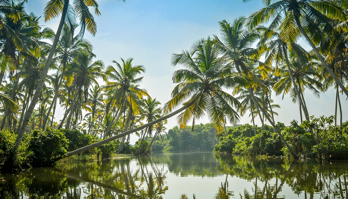 Kerala Retreat Holiday