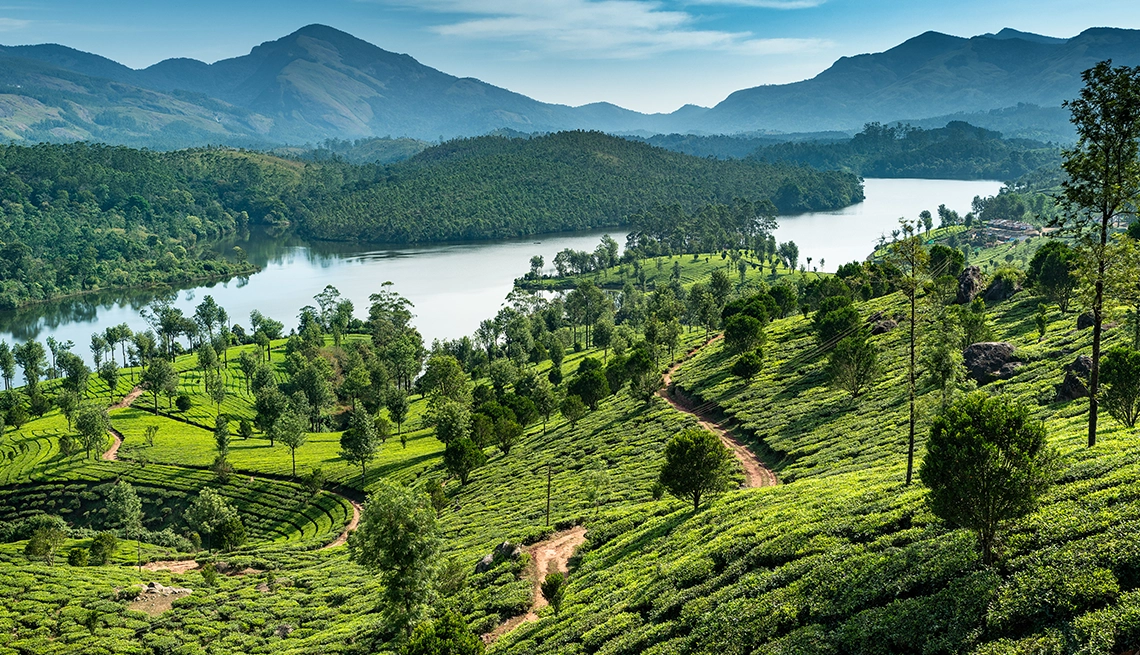 Kerala Retreat Holiday