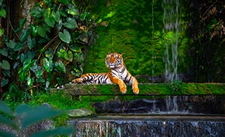 Periyar National Park